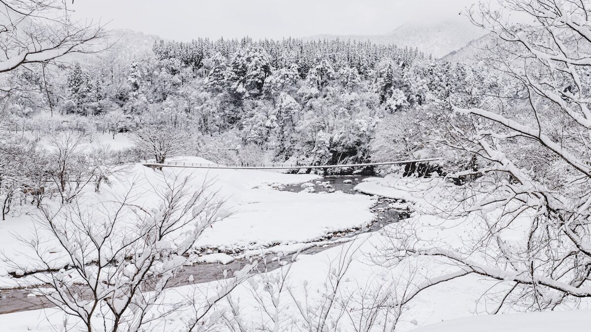 遊佐蒸溜所 完全ガイド｜山形初のモルト・鳥海山の伏流水と米松発酵が生む一本