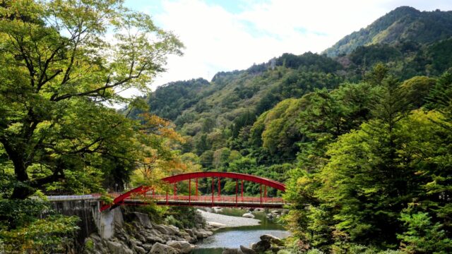 山鹿蒸溜所 完全ガイド｜熊本初・本坊酒造支援と灯籠の町が生むシングルモルト