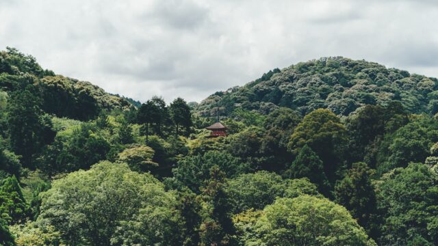小諸蒸留所 完全ガイド｜カバランの名手イアン・チャンが挑む世界水準の日本ウイスキー